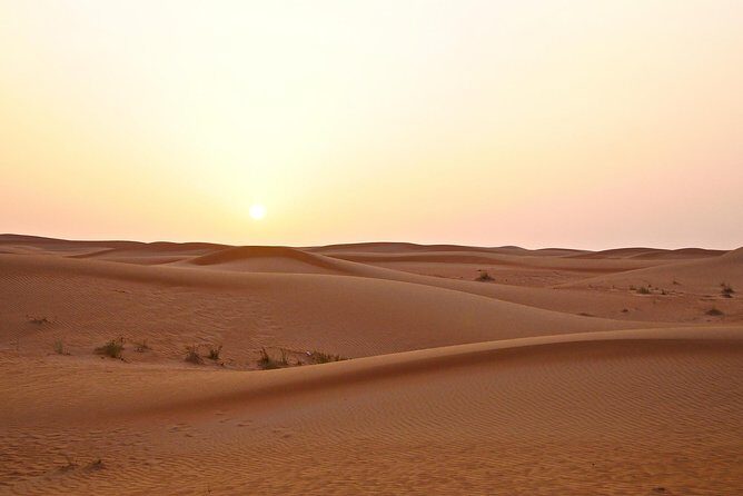Dubai Red Dunes Desert Safari Adventure - Sandboarding and Camel Riding: Two Classics, Included