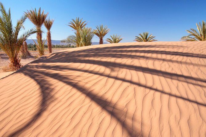 Dubai Red Dunes Desert Safari Adventure - Bedouin Campsite Welcome: Coffee, Dates, Henna, and Costume Photos