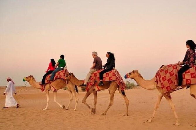 Dubai Red Dunes Desert Safari : Sandboarding, BBQ & Live Shows - BBQ Dinner and International Buffet With Vegetarian Options