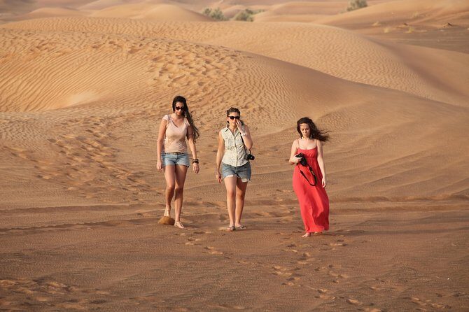 Dubai Red Dunes Desert Safari : Sandboarding, BBQ & Live Shows - Live Shows: Dance Performances and a Light-and-Sound Finish