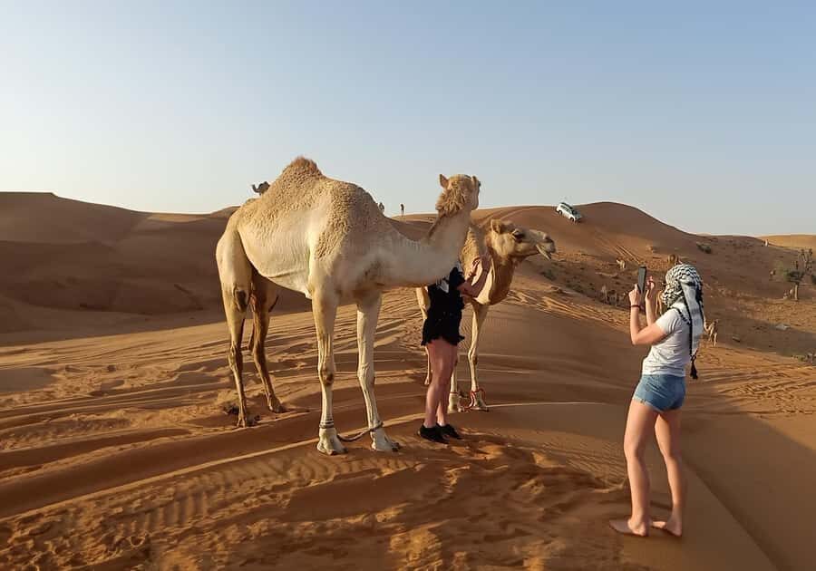 Dubai: Red Dunes Desert Safari with Premium Camp BBQ & Shows - Key takeaways before you go