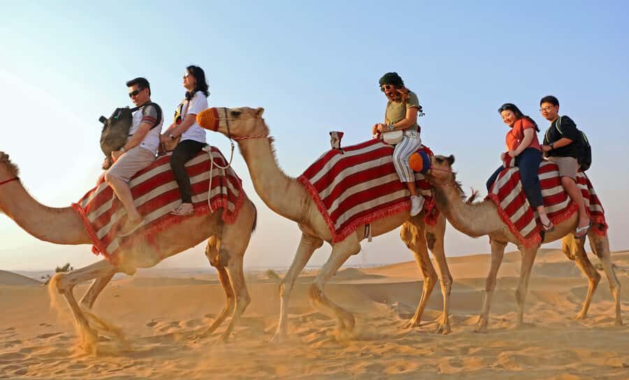 Dubai: Red Dunes Quad Bike with Sandboarding, Camels and BBQ - Quad biking over the red dunes: the highlight you’ll actually remember