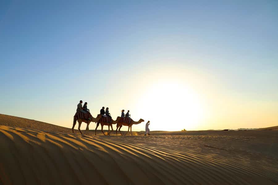 Dubai: Red Dunes Quad Bike with Sandboarding, Camels and BBQ - Sandboarding: quick, fun, and easy to overdo