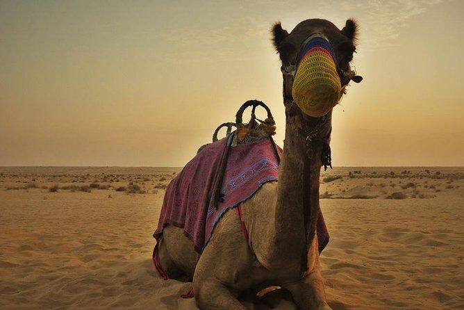 Dubai Red Dunes Safari - One Possible Catch to Keep in Mind