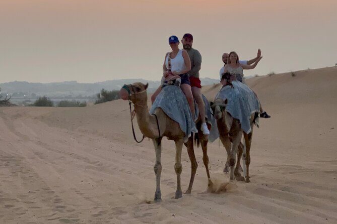 Dubai Red Dunes Safari, Camel Ride & Live BBQ - Sandboarding and Optional ATV/Quad Bikes: Choose Your Level of Chaos