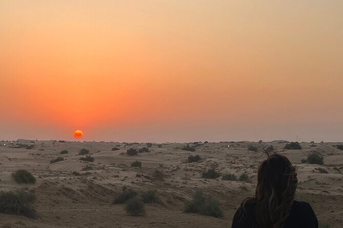 Dubai Red Dunes Safari, Camels, Live BBQ and Live Shows - Dubai Red Dunes Safari: why Lahbab feels like the real thing