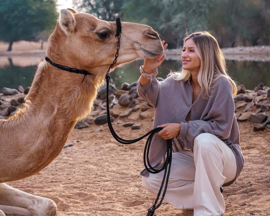 Dubai Red Dunes Safari: Dune Bashing, Camel Ride & Breakfast - Should you book the Dubai Red Dunes Safari with breakfast?