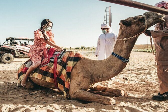 Dubai Royal Camel Race with Prime Seats & Short Camel Ride - What happens at the track: farm time, show time, then back again
