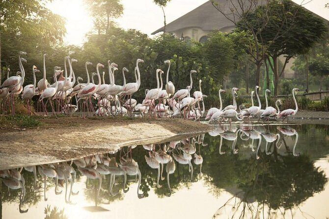 Dubai Safari Park - Dubai Safari Park: what you really get for $44