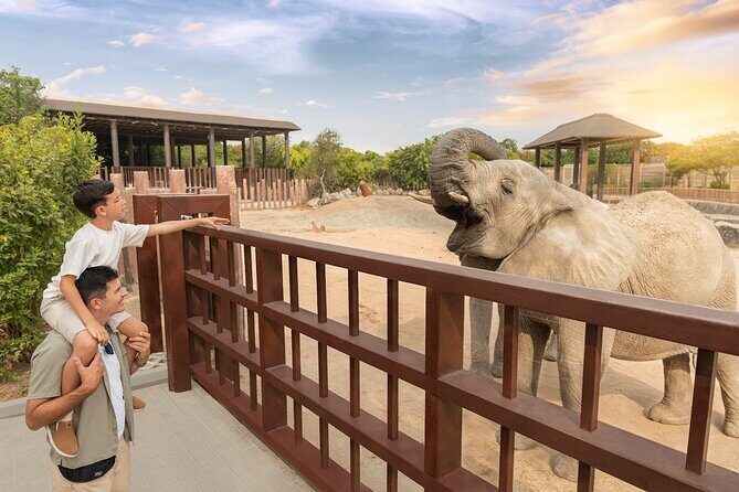 Dubai Safari Park - The 35-minute safari bus tour: where the conservation story lands