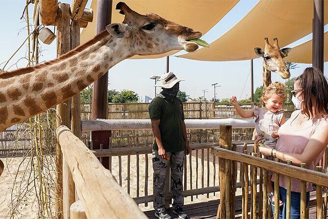 Dubai Safari Park Entry Tickets - Key Highlights You’ll Actually Care About