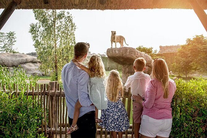 Dubai Safari Park Entry Tickets - Two Animal Show Theatres: A Smart Break From Walking