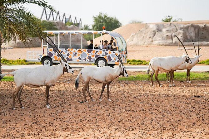 Dubai Safari Park Entry Tickets - Arabian Village and African Village: Two Safari Moods in One Park