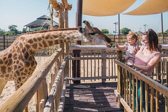 Dubai Safari Park With Transfer - Safari Journey (35 minutes) plus Arabian Desert Safari (10 minutes)