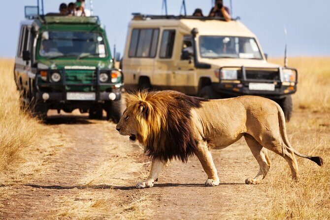Dubai Safari Park With Transfer - Price and value at around $105 for a 5-hour visit