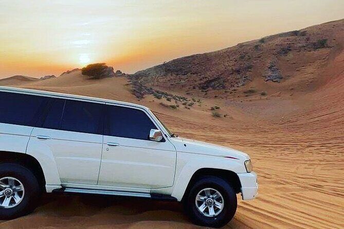 Dubai: Safari With Live BBQ Dinner, Camel Ride ,Live Performances - Camp Night: BBQ Dinner Plus Tanoura, Belly Dance, and Fire