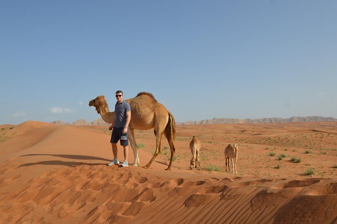Dubai Self-Drive 4WD Desert and Dune Bash Safari - The timing: a 12:00 start that aims for strong desert light