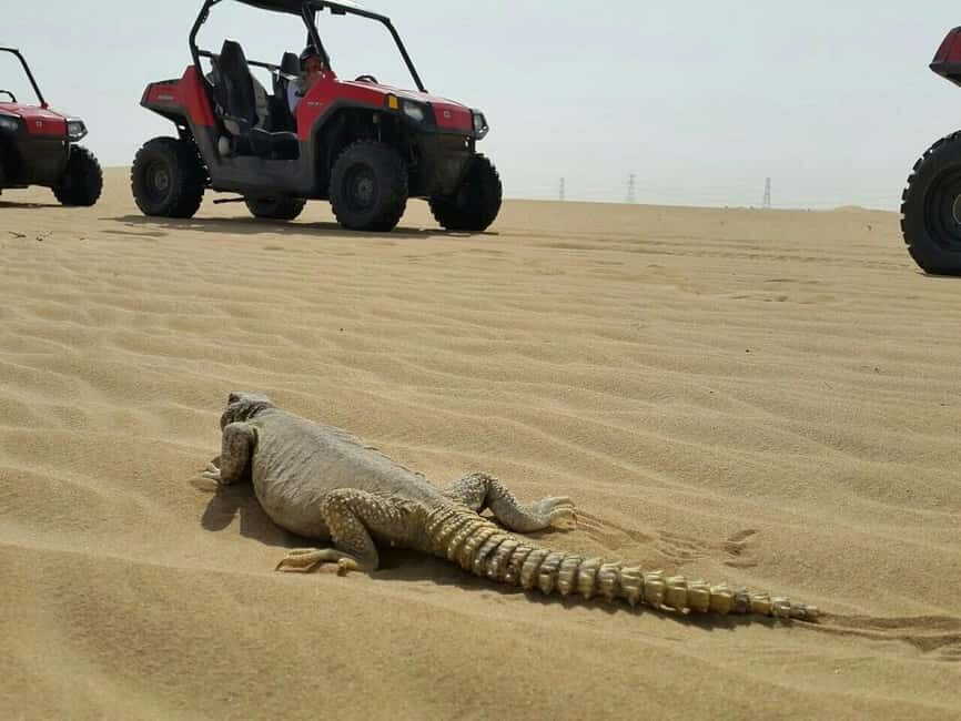 Dubai: Self-Drive Dune Buggy Safari with Pickup and Drop-Off - Getting There Smoothly: Hotel Pickup to Desert Base