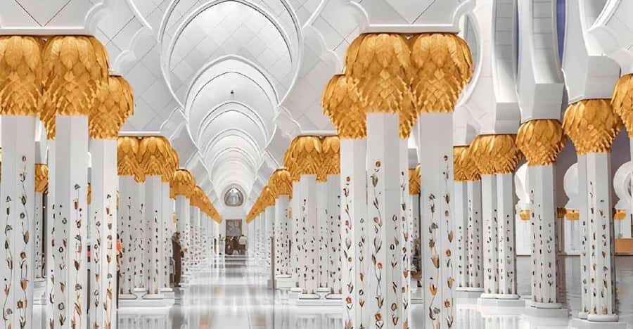 Dubai: Sheikh Zayed Mosque & SeaWorld Entry w/ Transfer - SeaWorld Abu Dhabi: marine life plus rides and interactive shows