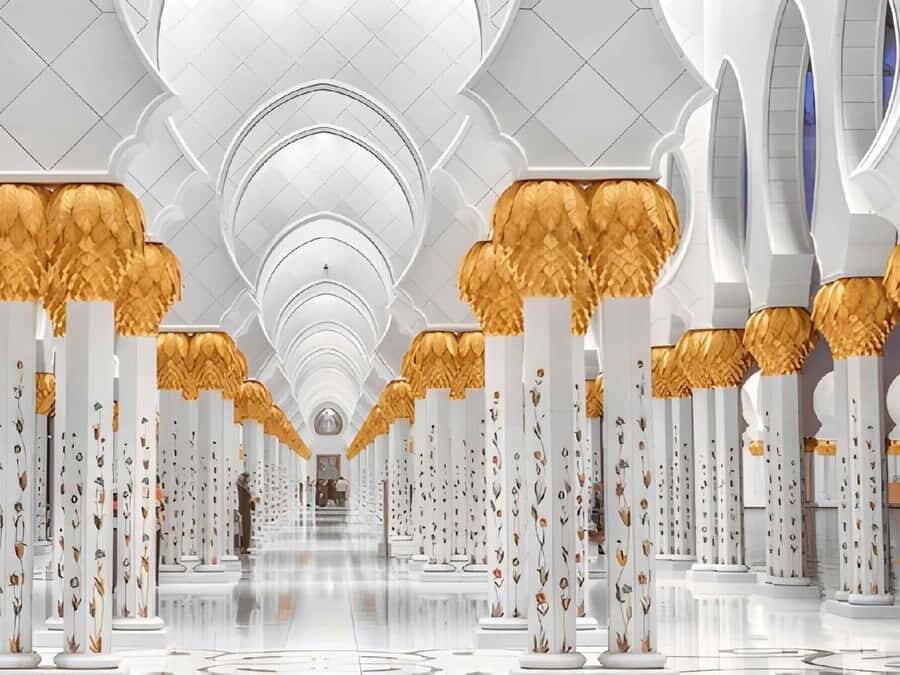 Dubai: Sheikh Zayed Mosque & Warner Bros w/ Transfer - Practical comfort tips for a full 10-hour day