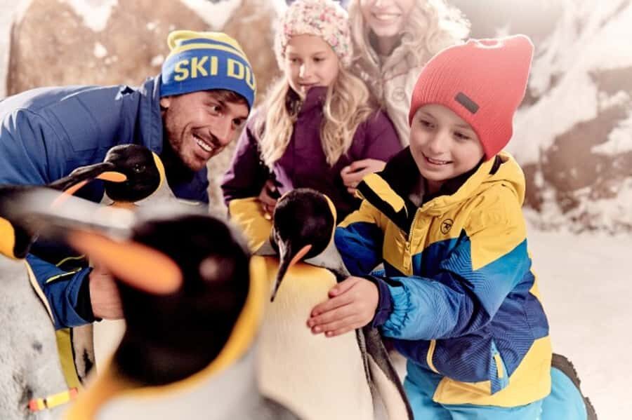 Dubai: Ski Dubai Snow Plus Pass - Inside the Snow Park: Rides That Actually Make Sense by Mood