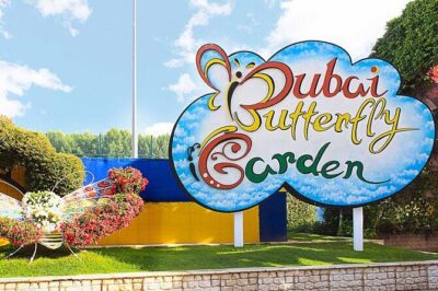 Dubai: Skip-The-Line Ticket to Butterfly Garden - Tickets valid for 90 days: plan your timing, not your stress