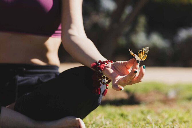 Dubai: Skip-The-Line Ticket to Butterfly Garden - Price and Logistics: Is the $16.75 Ticket Good Value?