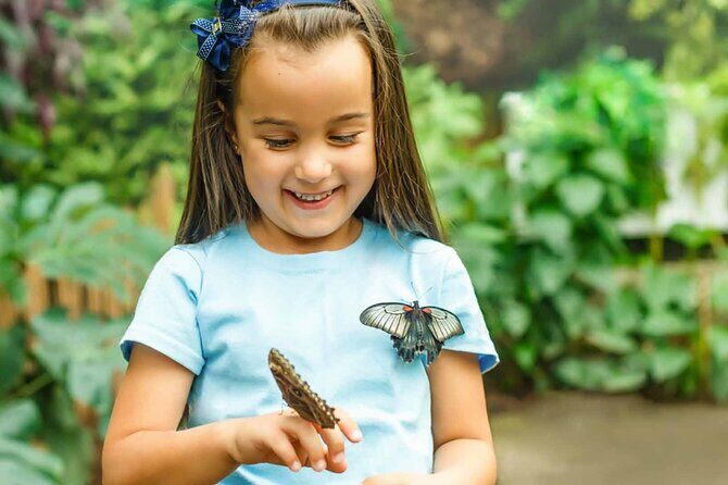 Dubai: Skip-The-Line Ticket to Butterfly Garden - Before You Go: Timing, Hours, and Weather Reality