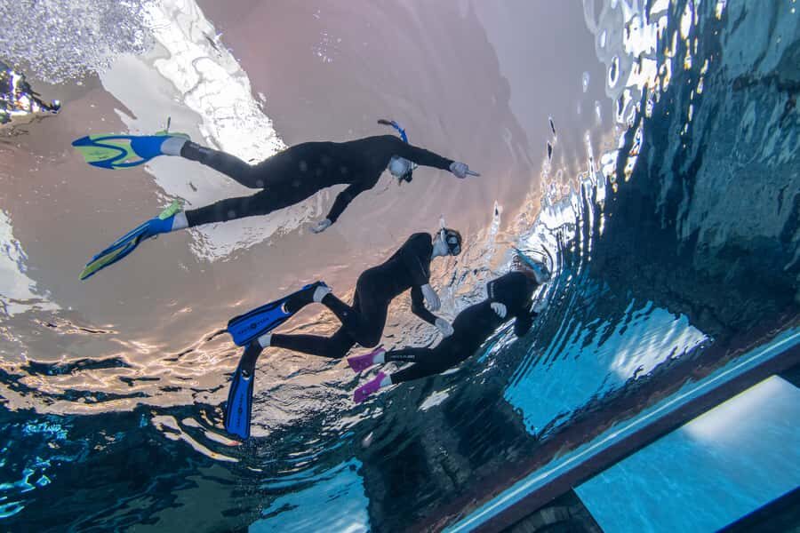 Dubai: Snorkeling at Deep Dive World's Deepest Pool - Getting there and what 1 hour is actually like