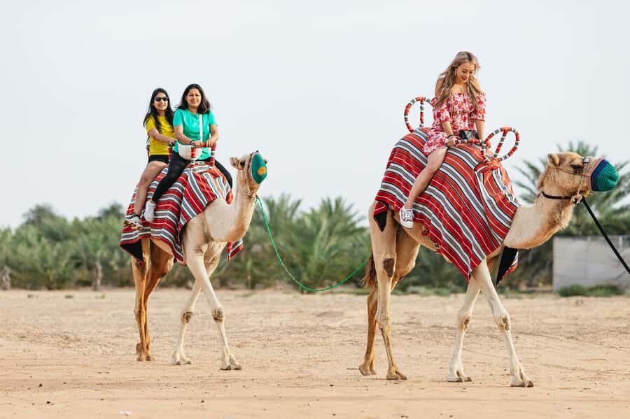 Dubai: Sunrise Balloon Flight with Camel Ride & Breakfast - From Hotel Lobby to Balloon Camp: The Ride, the Wait, and Why It Matters