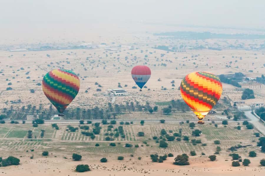 Dubai: Sunrise Balloon Flight with Camel Ride & Breakfast - Falconry Photos: A Moment for Your Camera Roll