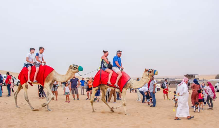 Dubai Sunrise Desert Camel Trek with Breakfast - Key highlights at a glance