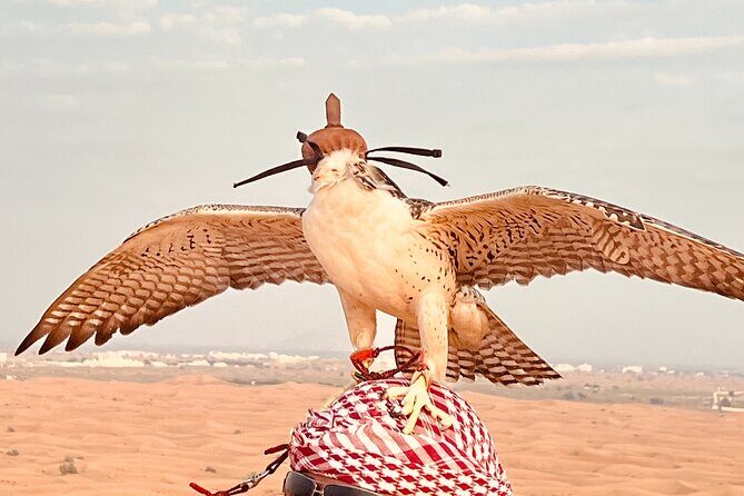 Dubai Sunrise Desert Safari Red Dune Camel Falcon & Sandboarding - Dune bashing in a 4x4 with a professional driver