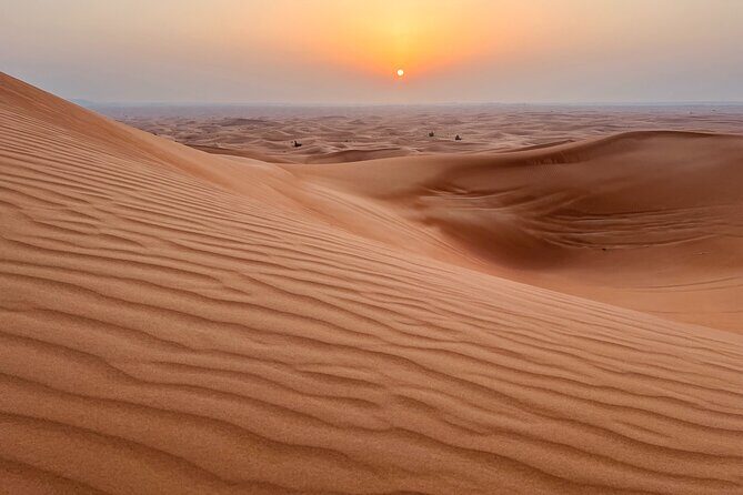 Dubai Sunrise Desert Safari Red Dune Camel Falcon & Sandboarding - Camel riding and falcon photos: the quick cultural moments