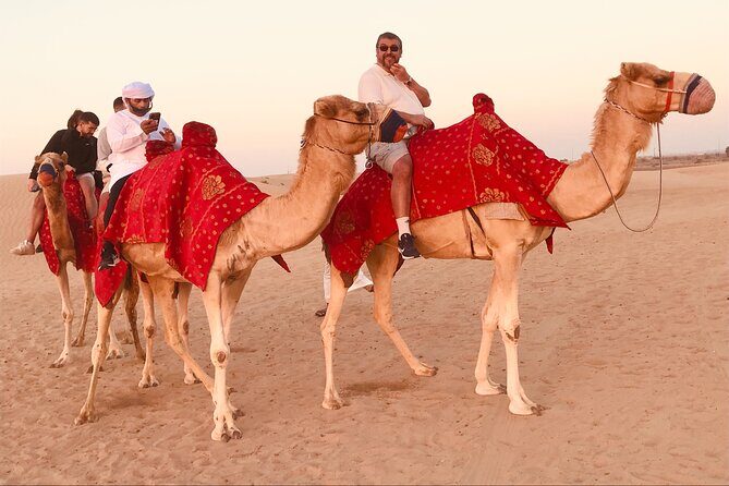 Dubai Sunrise Desert Safari Red Dune Camel Falcon & Sandboarding - Price and value: $34.89 for transport, permits, and the full desert lineup