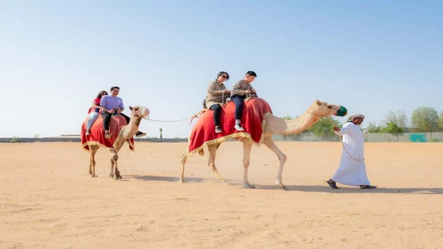 Dubai: Sunrise Hot Air Balloon Flight, Breakfast, Camel Ride - The balloon flight: 45–60 minutes above the dunes