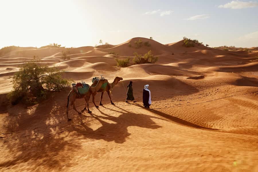 Dubai: Sunrise Hot Air Balloon Tour with E-Certificate - Key things to know before your Dubai sunrise balloon