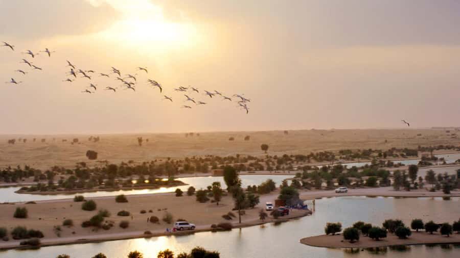 Dubai: Sunrise Hot Air Balloon Tour with E-Certificate - How much is it really worth at about $272 per person