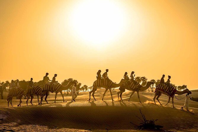 Dubai Sunset Camel Trekking with Shows & BBQ Dinner - 6 Key Reasons This Desert Night Works