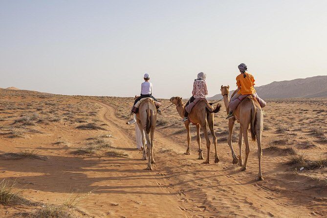 Dubai Sunset Camel Trekking with Shows & BBQ Dinner - BBQ Dinner Value: Unlimited Drinks and Real Choices