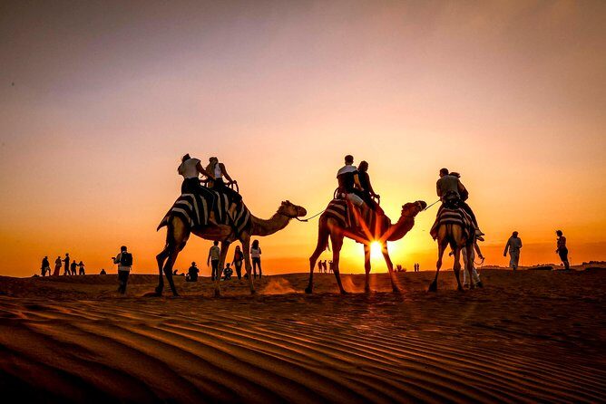 Dubai Sunset Camel Trekking with Shows & BBQ Dinner - Who Should Book This Sunset Camel Trek?