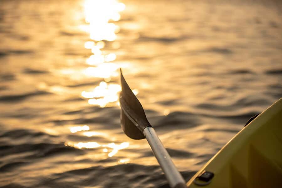 Dubai: Sunset/Night Dubai Creek Kayak Tour - Who Should Book This Kayak Tour (and Who Might Skip It)