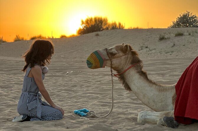 Dubai Sunset Red Dune Desert Safari, Sandboarding and Camel Ride - Optional BBQ Dinner and Camp Shows: Choose Your Kind of Desert Night