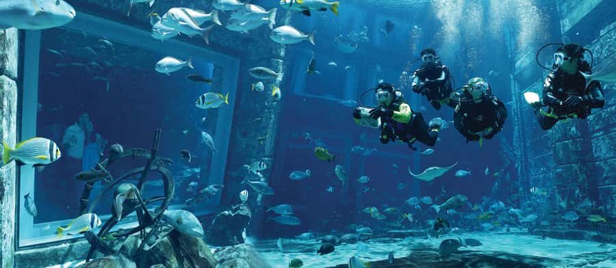 Dubai: The Lost Chambers Aquarium Atlantis Diving Experience - Entering the Ambassador Lagoon: Atlantis ruins, not just a tank