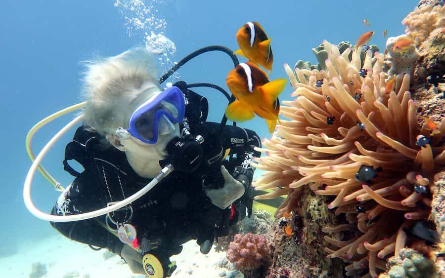 Dubai to Fujairah: First Scuba Diving + Transfer & BBQ - Key highlights worth clocking before you go