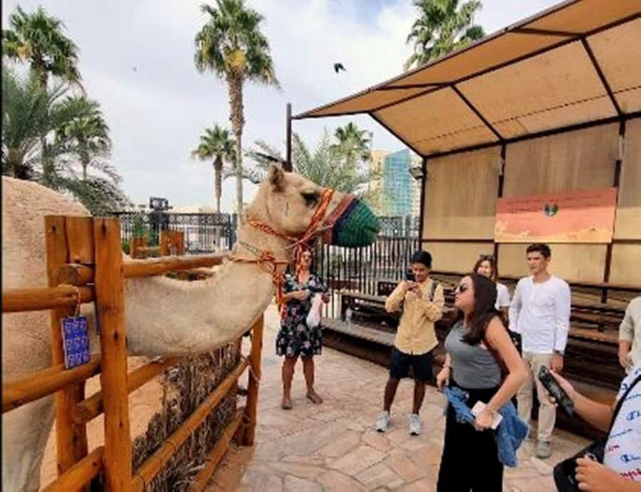 Dubai: Top Must-See Sights Tour with Burj Khalifa At The Top - Zabeel Palace Photo Stop: Short, But It Grounds the Day