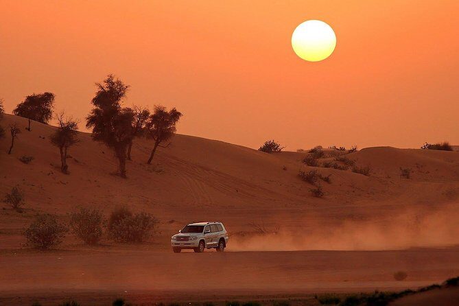 Dubai Top5 Tours:Desert Safari-Dxb City Tour-Abu Dhabi Tour-Dhow Cruise-Musandam - Dubai City Tour: Palm, Burj Al Arab, Gold Souk, and the Museum of the Future