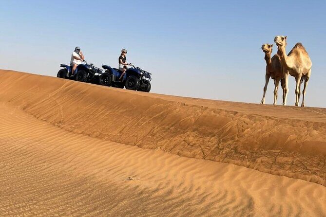 Dubai: Unique MORNING 4WD Red Dunes Safari incl. 30min Quad Bike - Sandboarding and Camel Ride: Two Desert Activities, Two Speeds