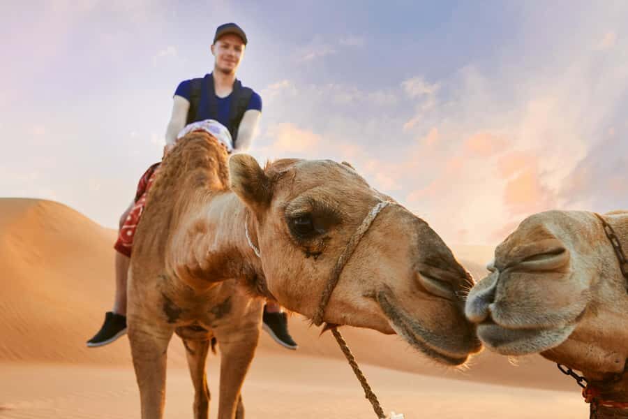 Dubai Waves & Dunes: Luxury Yacht Cruise w/ Red Dunes Safari - Sandboarding and Camel Time: Easy Fun in a Dramatic Setting