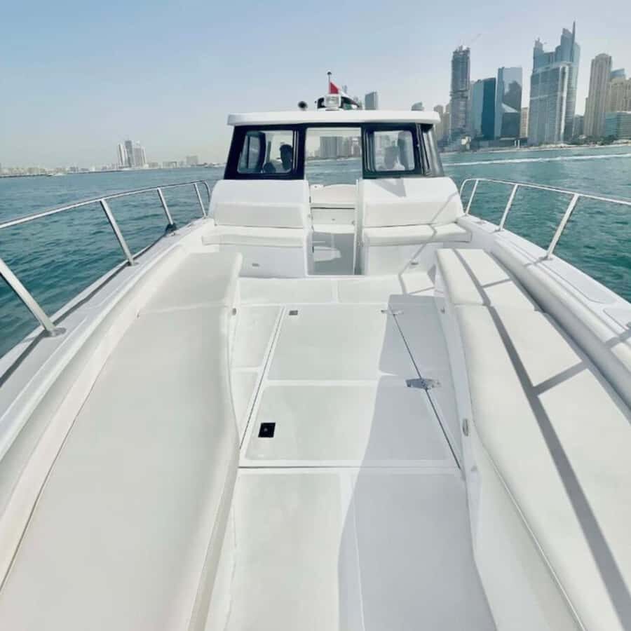 Dubai:Best Fishing Trip-4Hours - Key highlights at a glance